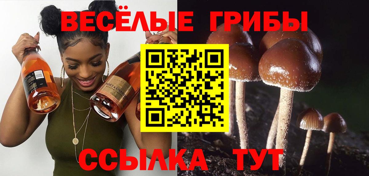 Славгород  Галлюциногенные грибы Magic Shrooms  Вход с VPN 