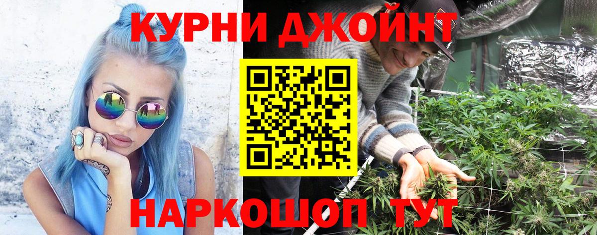 Конопля сатива Славгород